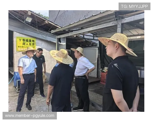 澳门ag视讯厅推动线上娱乐健康发展的方法与行业责任担当分析