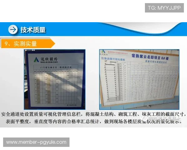 全面解析AG官方入口的安全登录流程保障玩家账号信息安全